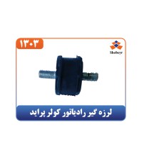 لرزه گیر رادیاتور کولر پراید