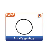 اورینگ دور باک  206